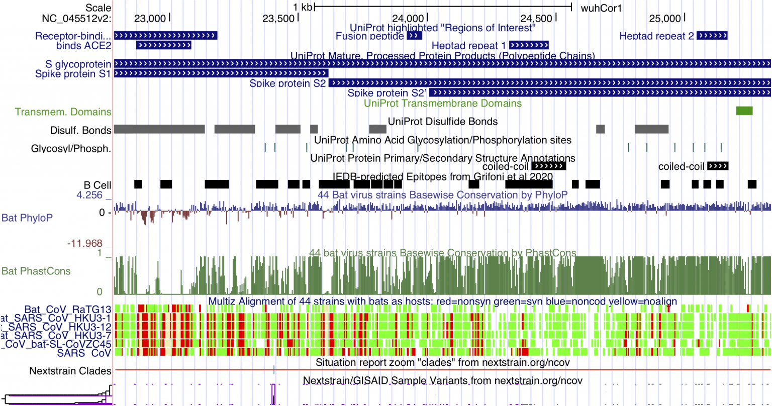 Genome browser. Геномный браузер возможности. Геномный браузер человека for long. Возможности геномных браузеров позволяют.